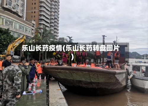 乐山长药疫情(乐山长药转盘图片)