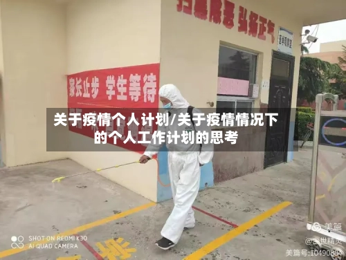 关于疫情个人计划/关于疫情情况下的个人工作计划的思考
