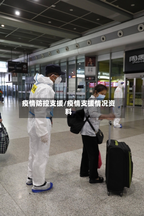 疫情防控支援/疫情支援情况资料