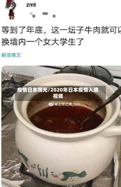 疫情日本观光/2020年日本疫情入境视频-第2张图片
