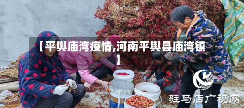 【平舆庙湾疫情,河南平舆县庙湾镇】