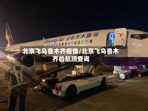 北京飞乌鲁木齐疫情/北京飞乌鲁木齐的航班查询-第3张图片