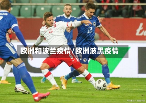 欧洲和波兰疫情/欧洲波黑疫情-第3张图片