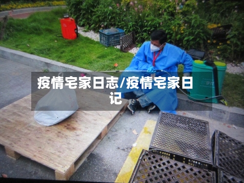 疫情宅家日志/疫情宅家日记