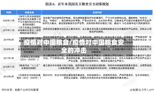 疫情对中国粮食/疫情对中国粮食安全的冲击-第3张图片