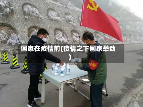 国家在疫情前(疫情之下国家举动)