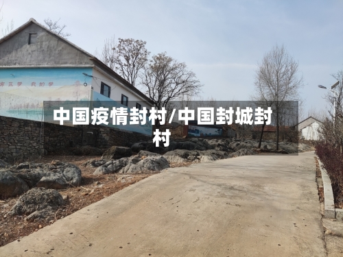 中国疫情封村/中国封城封村