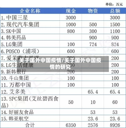 关于国外中国疫情/关于国外中国疫情的研究