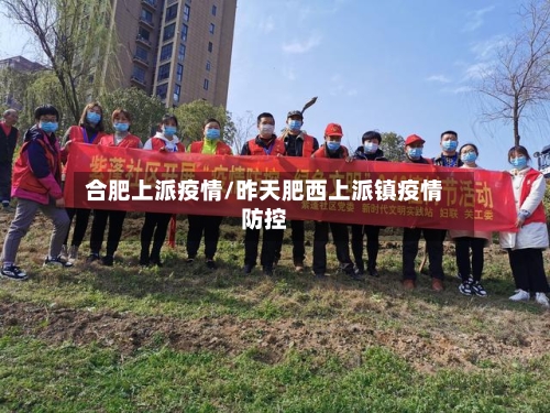 合肥上派疫情/昨天肥西上派镇疫情防控