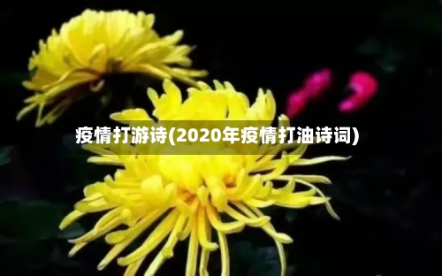 疫情打游诗(2020年疫情打油诗词)-第2张图片