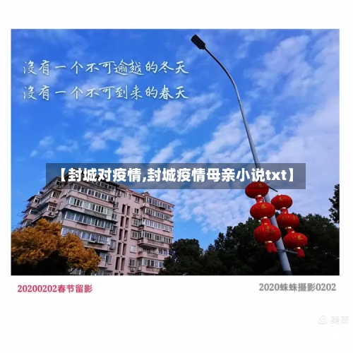 【封城对疫情,封城疫情母亲小说txt】-第2张图片
