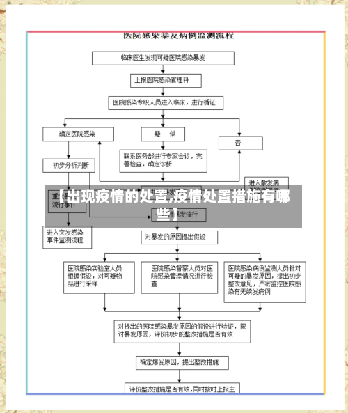 【出现疫情的处置,疫情处置措施有哪些】