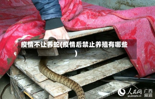 疫情不让养蛇(疫情后禁止养殖有哪些)-第3张图片