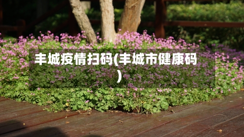 丰城疫情扫码(丰城市健康码)-第3张图片