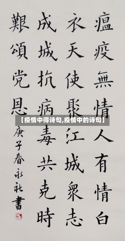 【疫情中得诗句,疫情中的诗句】-第3张图片