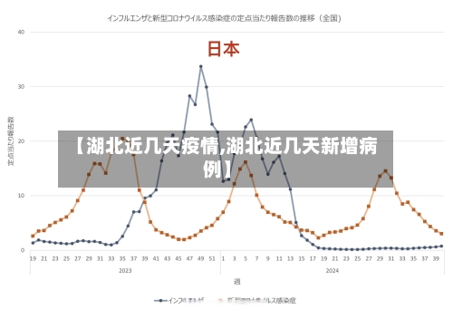 【湖北近几天疫情,湖北近几天新增病例】-第2张图片