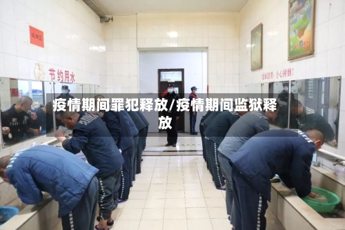 疫情期间罪犯释放/疫情期间监狱释放