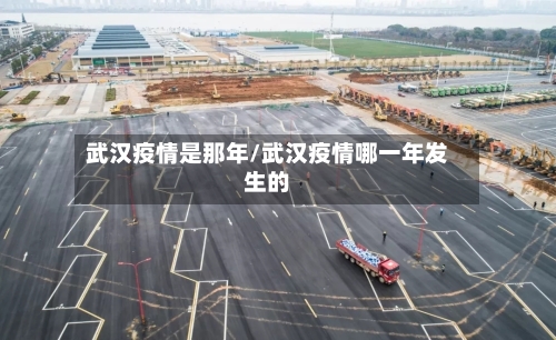 武汉疫情是那年/武汉疫情哪一年发生的