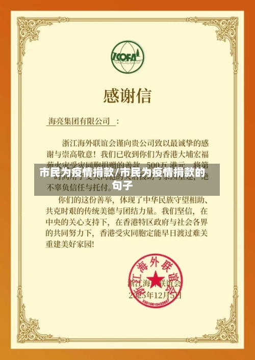 市民为疫情捐款/市民为疫情捐款的句子