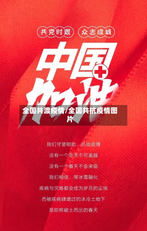 全国共渡疫情/全国共抗疫情图片