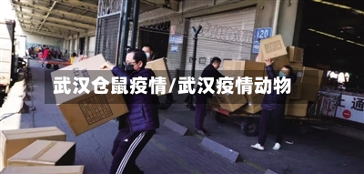 武汉仓鼠疫情/武汉疫情动物-第2张图片