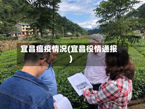 宜昌瘟疫情况(宜昌役情通报)-第3张图片