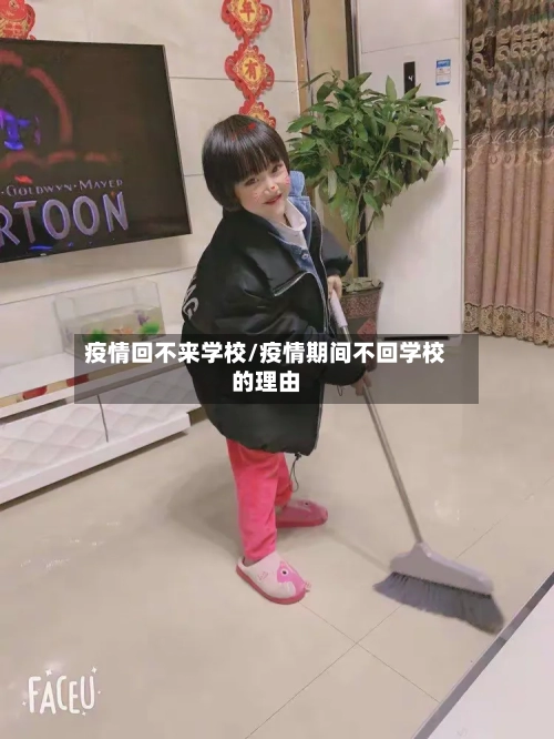 疫情回不来学校/疫情期间不回学校的理由