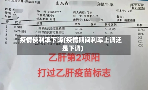 疫情使利率下降(疫情期间利率上调还是下调)-第2张图片