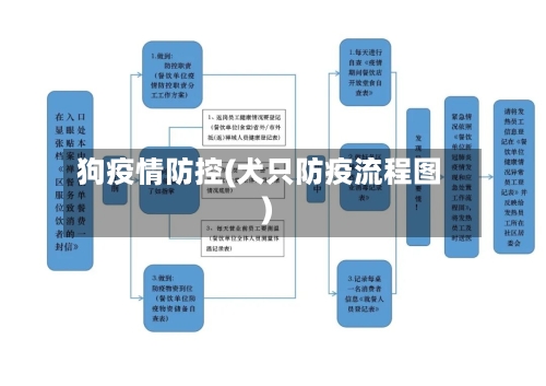 狗疫情防控(犬只防疫流程图)-第2张图片