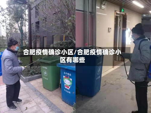 合肥疫情确诊小区/合肥疫情确诊小区有哪些-第2张图片