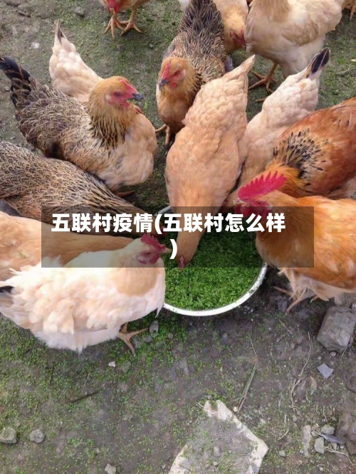 五联村疫情(五联村怎么样)-第3张图片