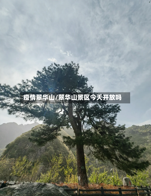 疫情翠华山/翠华山景区今天开放吗-第3张图片