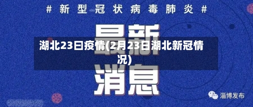湖北23曰疫情(2月23日湖北新冠情况)-第2张图片