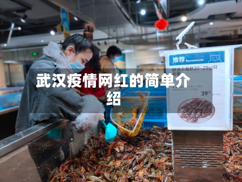 武汉疫情网红的简单介绍