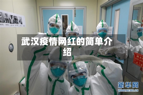 武汉疫情网红的简单介绍-第2张图片