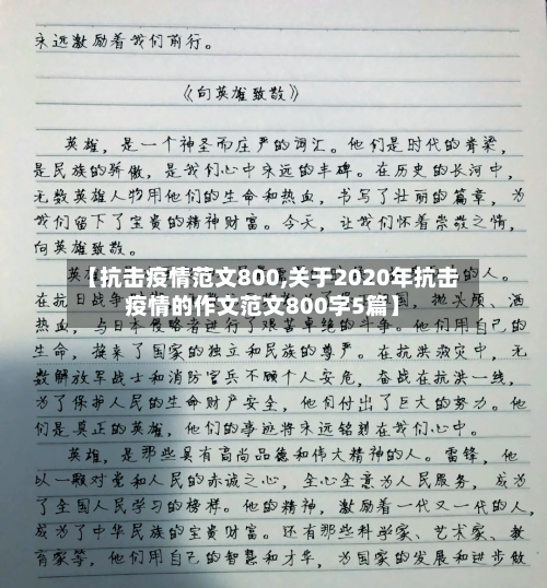 【抗击疫情范文800,关于2020年抗击疫情的作文范文800字5篇】-第3张图片