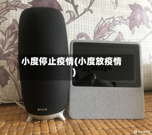 小度停止疫情(小度放疫情)-第3张图片