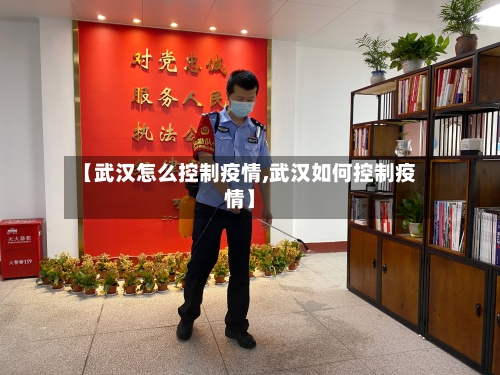 【武汉怎么控制疫情,武汉如何控制疫情】-第2张图片