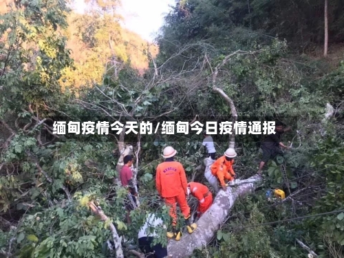 缅甸疫情今天的/缅甸今日疫情通报